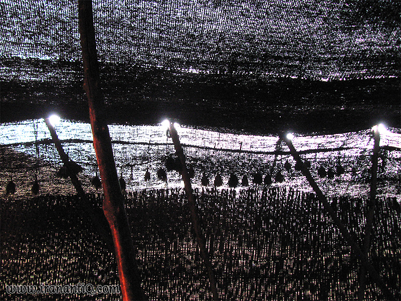 persian back tent interior نمای داخلی سیاه چادر عشایر