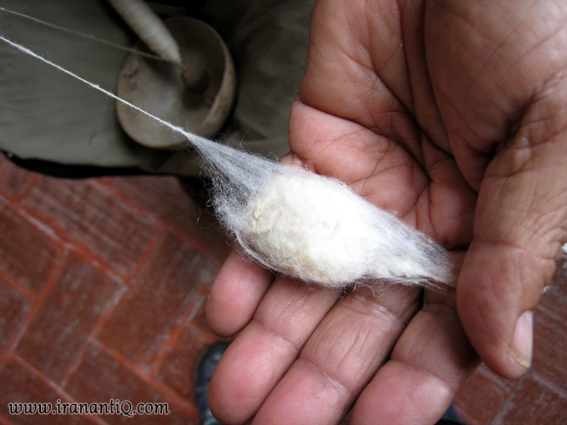 ریسیدن نخ ابریشم از پیله ابریشم ، ابریشم بافی - man pulling apart silk fibers from cocoon