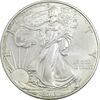 مدال یادبود 1 دلار 2013 عقاب - MS63 - آمریکا