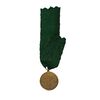 مدال آویز نقره شیردل 1300 (شب) - MS63 - ناصرالدین شاه