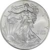 مدال یادبود 1 دلار 2009 عقاب - PF64 - آمریکا