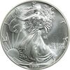 مدال یادبود 1 دلار 1995 عقاب - PF64 - آمریکا