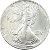 مدال یادبود 1 دلار 1992 عقاب - MS63 - آمریکا