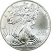 مدال یادبود 1 دلار 2013 عقاب - PF65 - آمریکا