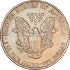 مدال یادبود 1 دلار 2005 عقاب - EF45 - آمریکا