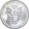 مدال یادبود 1 دلار 2009 عقاب - PF63 - آمریکا