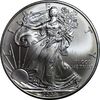 مدال یادبود 1 دلار 2009 عقاب - PF63 - آمریکا