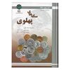 کتاب دو روی سکه، سکه های پهلوی