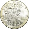مدال یادبود 1 دلار 2009 عقاب - PF63 - آمریکا