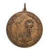 مدال آویز ورزشی برنز - قهرمانی کشتی جهان - محمد رضا شاه