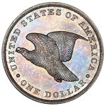 one dollar - یک دلار