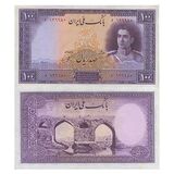 100-rial-purple