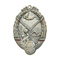 مدال یادبود فدراسیون شنا ایران - نقره ای - EF - محمد رضا شاه