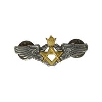 وینگ نیروی هوایی ارتش شاهنشاهی - مهندسی - کوچک - AU - محمد رضا شاه