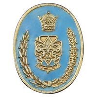 نشان سوزنی پیش آهنگی - آماده باش - EF - محمد رضا شاه