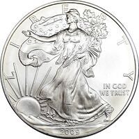 مدال یادبود 1 دلار 2009 عقاب - PF63 - آمریکا