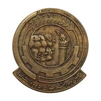 نشان سوزنی نخستین دهه انقلاب سفید 1351 - EF - محمد رضا شاه