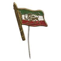 نشان سوزنی پرچم ایران (متفاوت) - EF - محمد رضا شاه