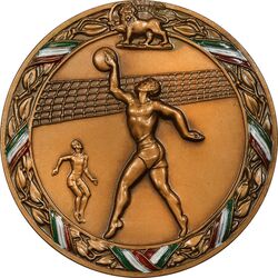 مدال یادبود هشتمین دوره مسابقات قهرمانی والیبال نظامی جهان (با جعبه فابریک) - UNC - محمد رضا شاه