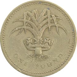 سکه 1 پوند 1985 الیزابت دوم - EF40 - انگلستان
