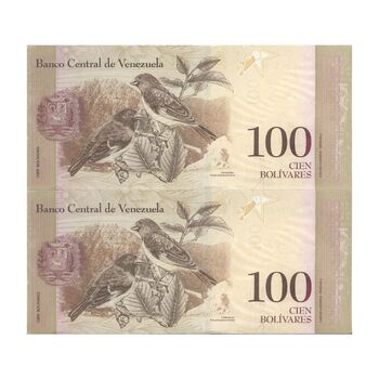 اسکناس 100 بولیوار 2013 جمهوری بولیواری - جفت - UNC63 - ونزوئلا