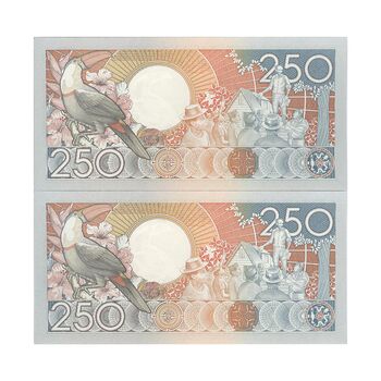 اسکناس 250 گلدن 1988 جمهوری - جفت - UNC63 - سورینام
