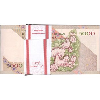 بسته اسکناس 5000 ریال (نمازی - نوربخش) - UNC - جمهوری اسلامی