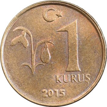 سکه 1 کروش 2015 جمهوری - AU55 - ترکیه
