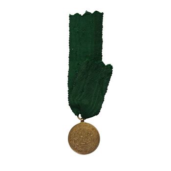 مدال آویز نقره شیردل 1300 (شب) - MS63 - ناصرالدین شاه