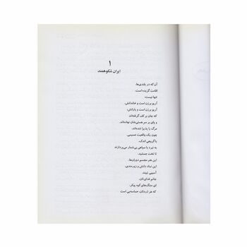 کتاب آریوبرزن