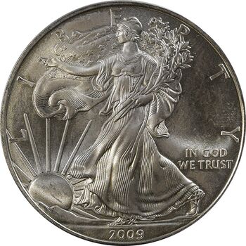 مدال یادبود 1 دلار 2009 عقاب - PF65 - آمریکا