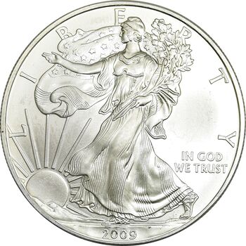 مدال یادبود 1 دلار 2009 عقاب - PF64 - آمریکا