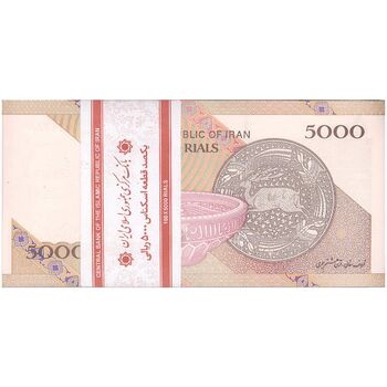بسته اسکناس 5000 ریال امام (طیب نیا - سیف) - UNC - جمهوری اسلامی