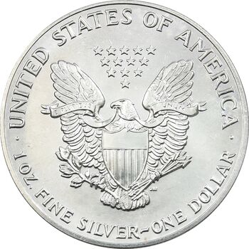 مدال یادبود 1 دلار 1992 عقاب - MS63 - آمریکا