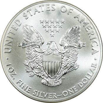 مدال یادبود 1 دلار 2013 عقاب - PF65 - آمریکا