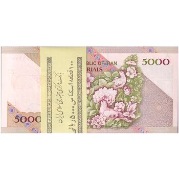 بسته اسکناس 5000 ریال امام (مظاهری - شیبانی) - UNC - جمهوری اسلامی