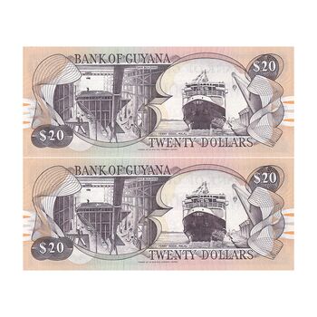 اسکناس 20 دلار بدون تاریخ (2006) جمهوری - Lawrence Williams & Saisnarine Kowlessar - UNC64 - جفت - گویان