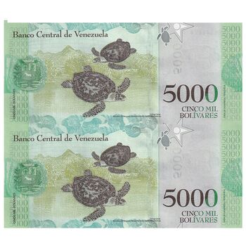اسکناس 5000 بولیوار 2017 جمهوری بولیواری - جفت - UNC62 - ونزوئلا