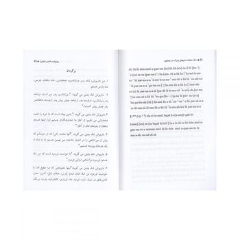 کتاب سنگ نبشته داریوش بزرگ در بیستون