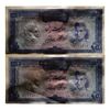 اسکناس 200 ریال (آموزگار - جهانشاهی) - جفت - UNC62 - محمد رضا شاه اسکناس 200 ریال (آموزگار - جهانشاهی) - جفت - UNC62 - محمد رضا شاه