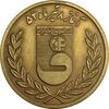 مدال برنز جام تخت جمشید 1352 - AU - محمد رضا شاه