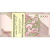 بسته اسکناس 5000 ریال امام (مظاهری - شیبانی) - UNC - جمهوری اسلامی