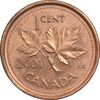 سکه 1 سنت 2001 الیزابت دوم - EF45 - کانادا