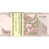 بسته اسکناس 5000 ریال امام (مظاهری - شیبانی) - UNC - جمهوری اسلامی