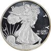 مدال یادبود 2 دلار 2004 عقاب - PF65 - آمریکا مدال یادبود 2 دلار 2004 عقاب - PF65 - آمریکا