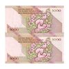 اسکناس 5000 ریال امام (نمازی - نوربخش) فیلیگران نوع 5 - جفت - جمهوری اسلامی