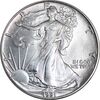 مدال یادبود 1 دلار 1991 عقاب - MS64 - آمریکا
