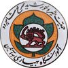 نشان آموزشگاه بهیاری به آئین - جمعیت شیر و خورشید سرخ شاهرود - UNC - محمد رضا شاه