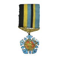 نشان آویز تیراندازی درجه 1 - AU - محمدرضا شاه