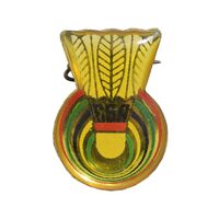 سنجاق سینه CSA میناکاری - AU